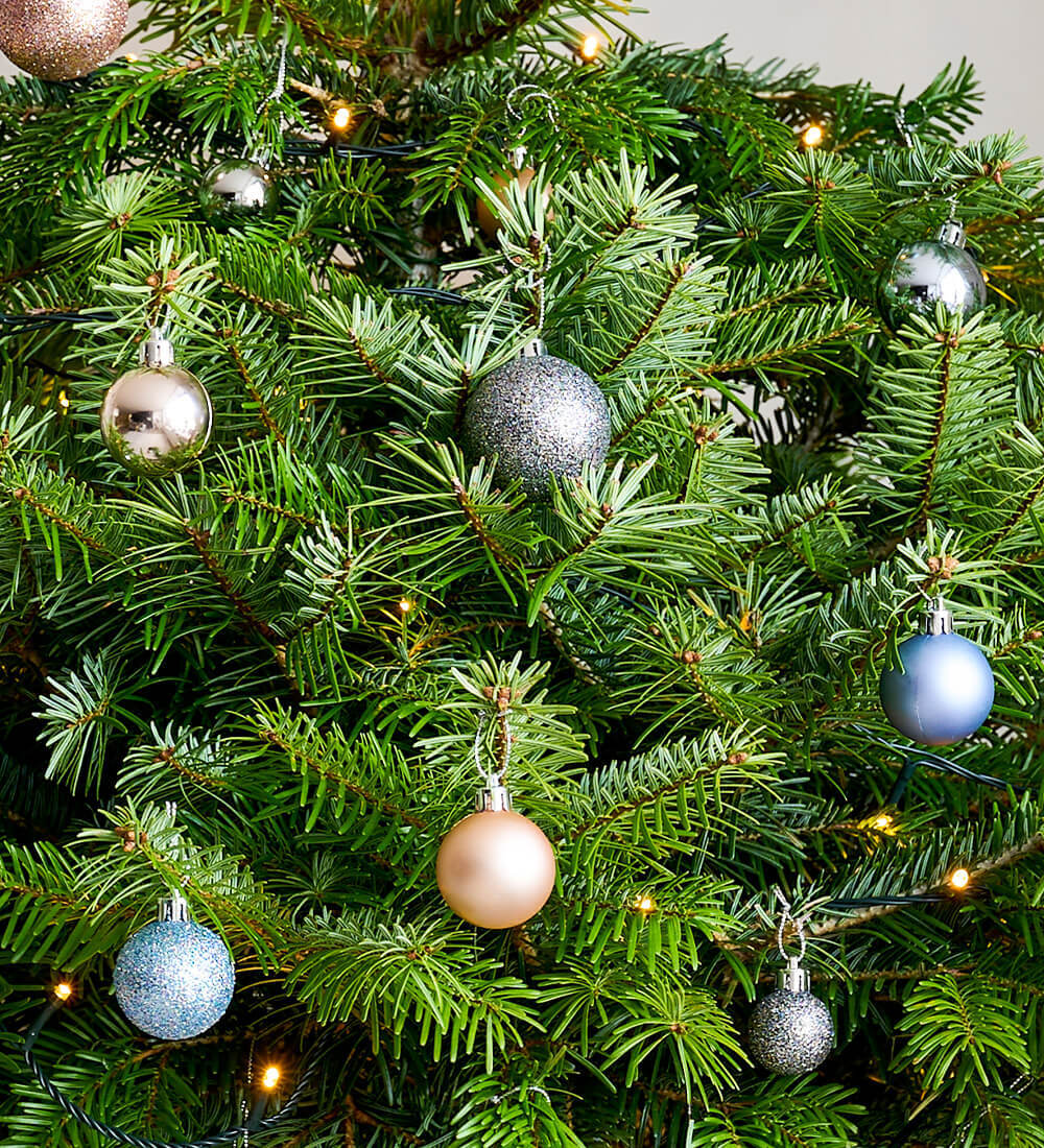 Ice, Ice Baubles & Star Pack of 30